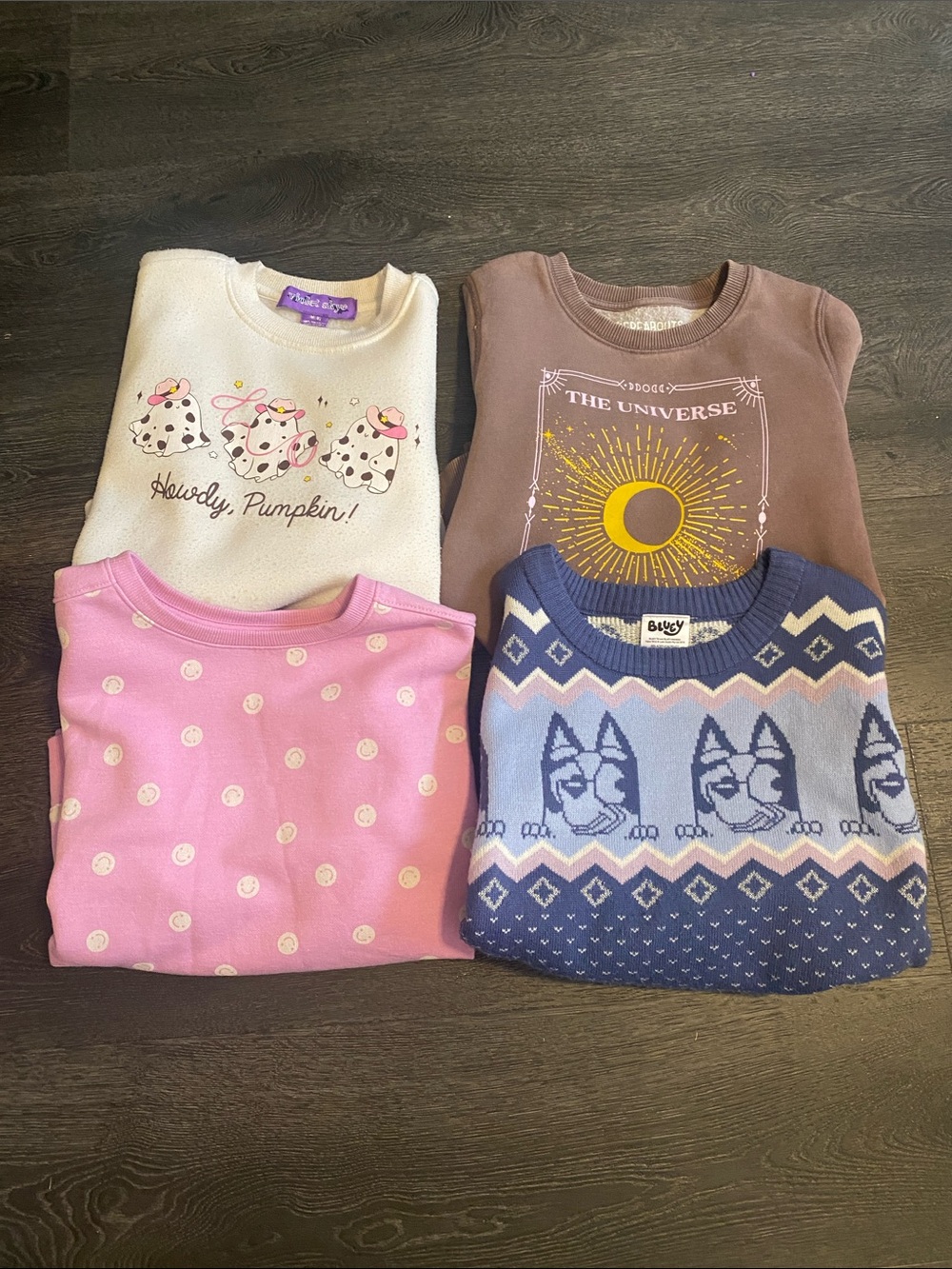 Girls Sweatshirt Bundle
